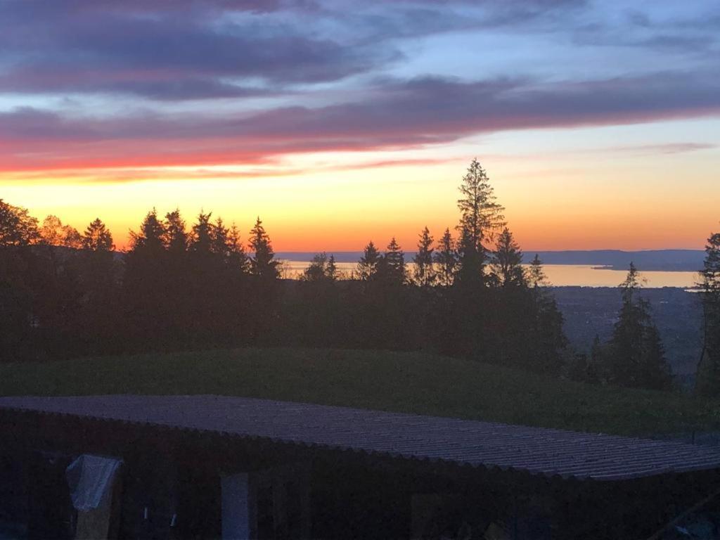 Kreiers Alp Apartment Hohenems Bagian luar foto