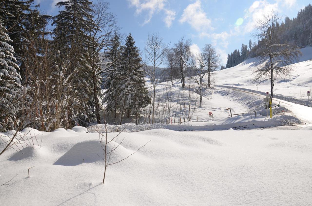 Kreiers Alp Apartment Hohenems Bagian luar foto