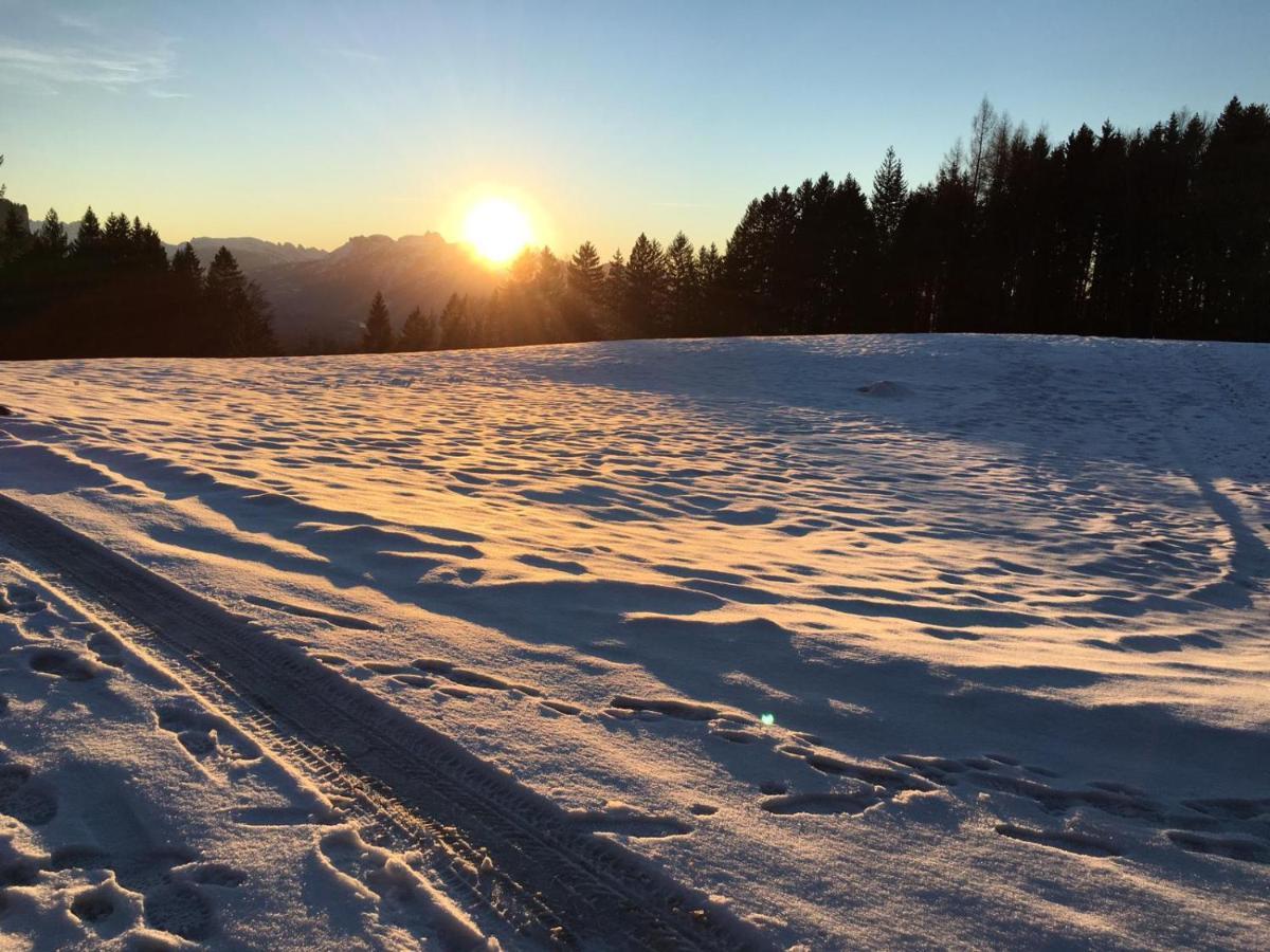 Kreiers Alp Apartment Hohenems Bagian luar foto